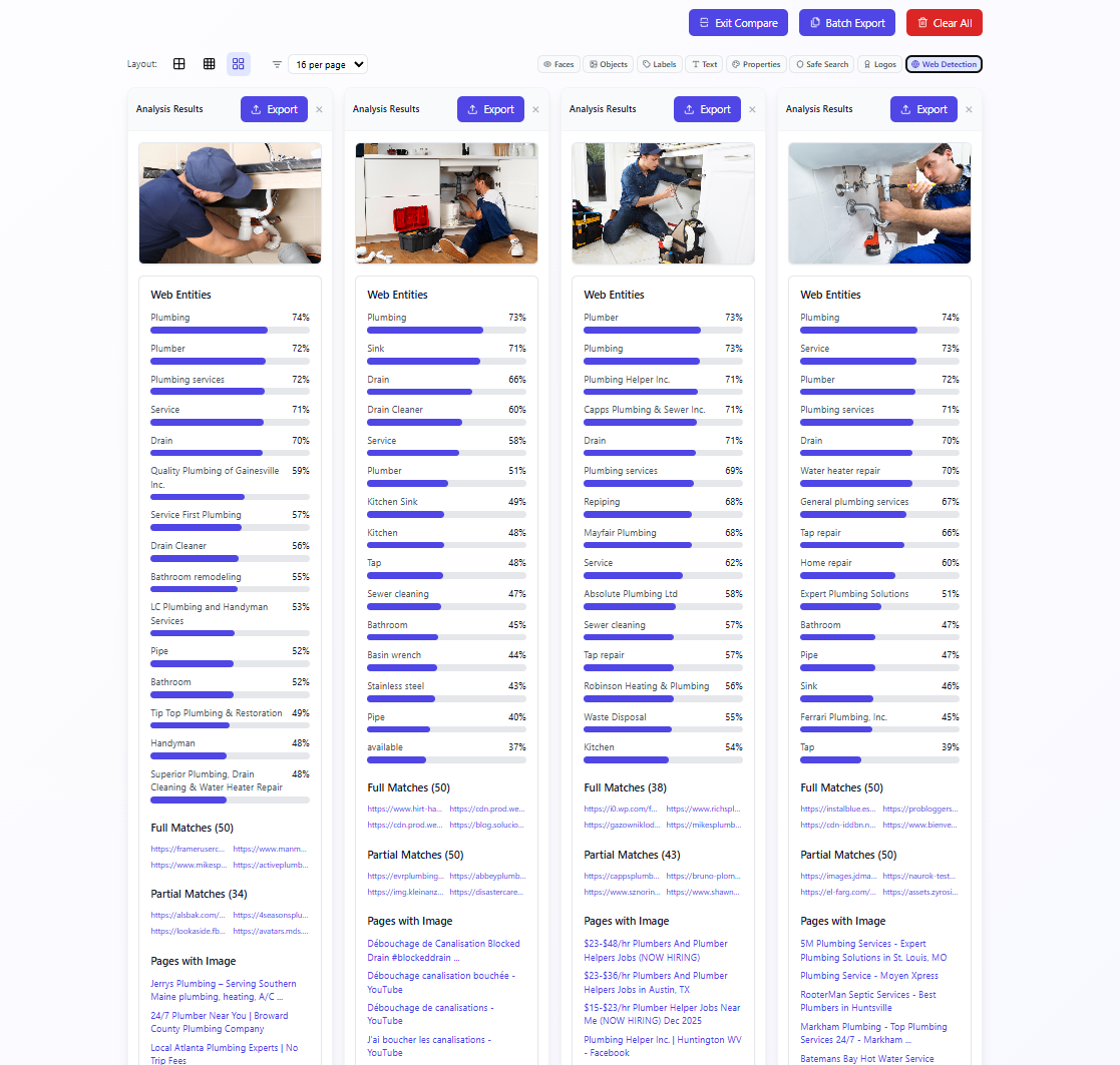 Web Detection - Plumber